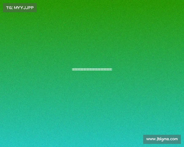 高洪波:从足球教练到中国足球复兴的关键人物与历史见证